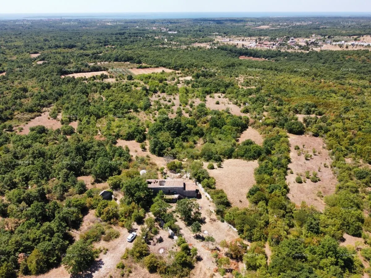 kuća stancija kod vodnjana! veliki teren 6390 m2!! - slika 17