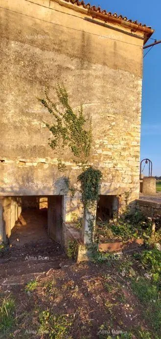 kuća galižana –kamena kuće s građevinskim zemljištem i šternom - slika 3