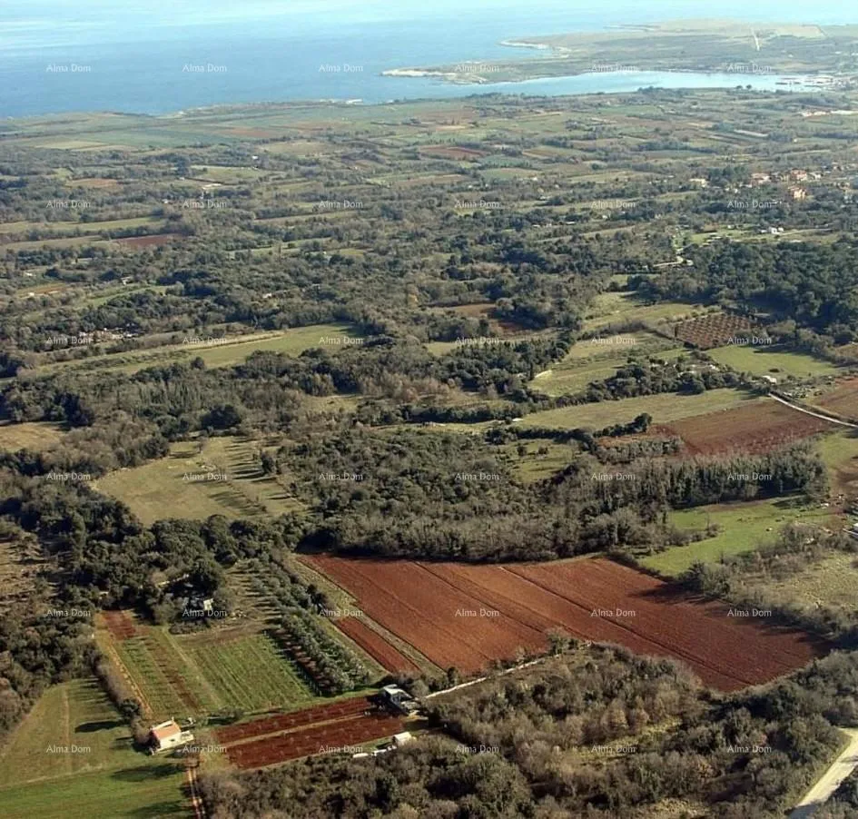 Građevinsko zemljište Investicijska prilika! Prodaja građevinskog zemljišta turističko-ugostiteljske namjene-T zona, Ližnjan!