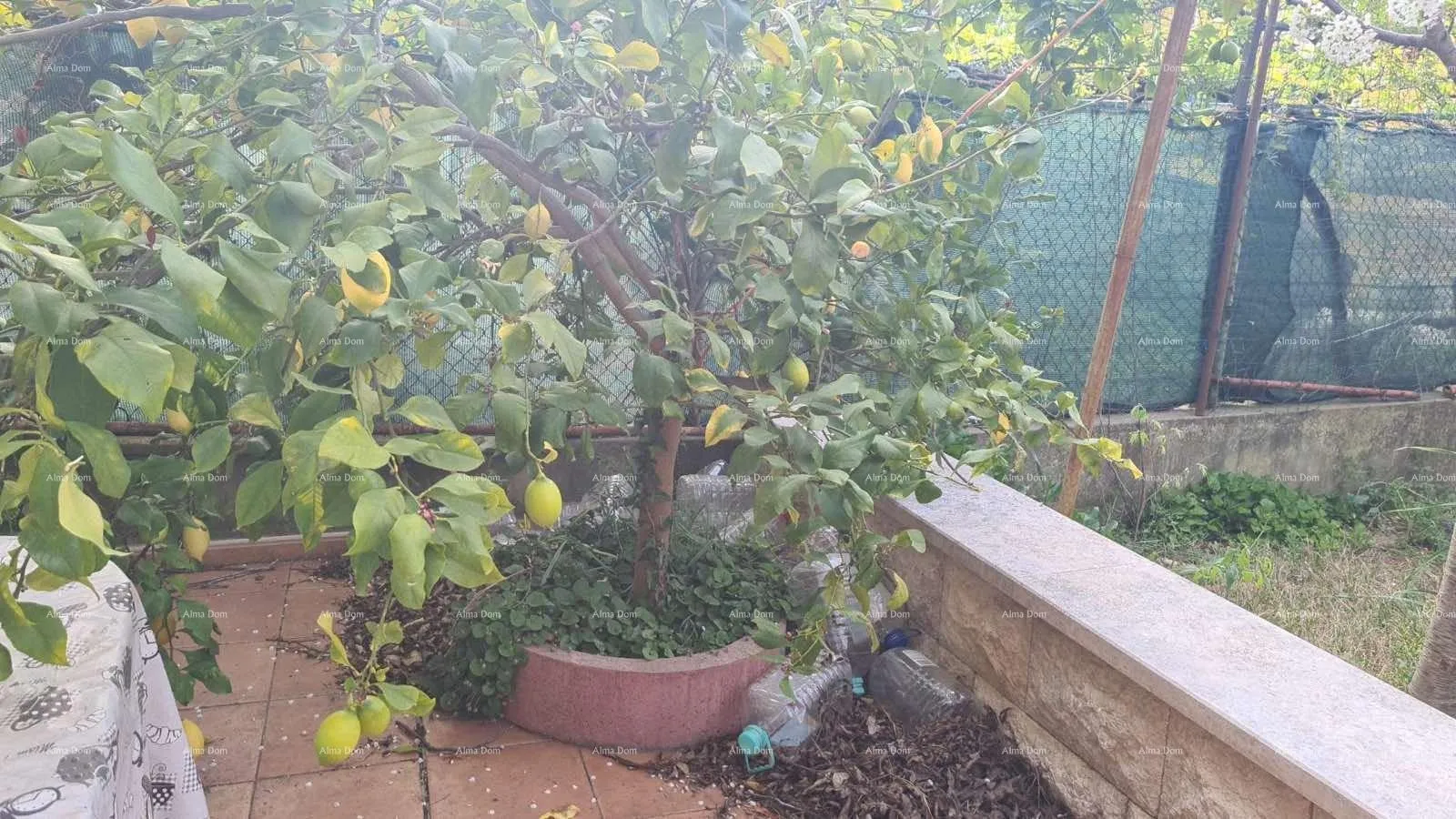 stan stan u prizemlju s vrtom, pula (67,52 m²) - slika 9