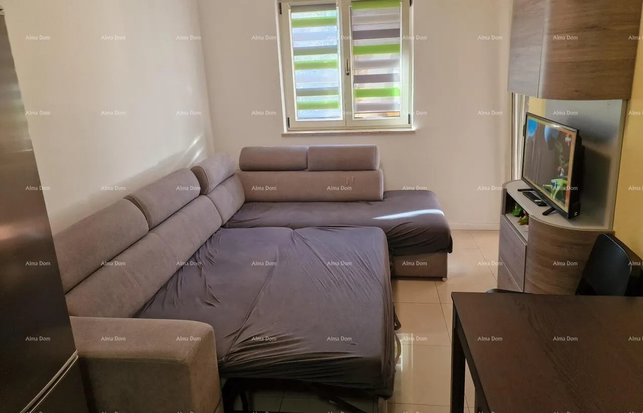 stan prodaje se lijepo renoviran stan, novigrad - slika 15