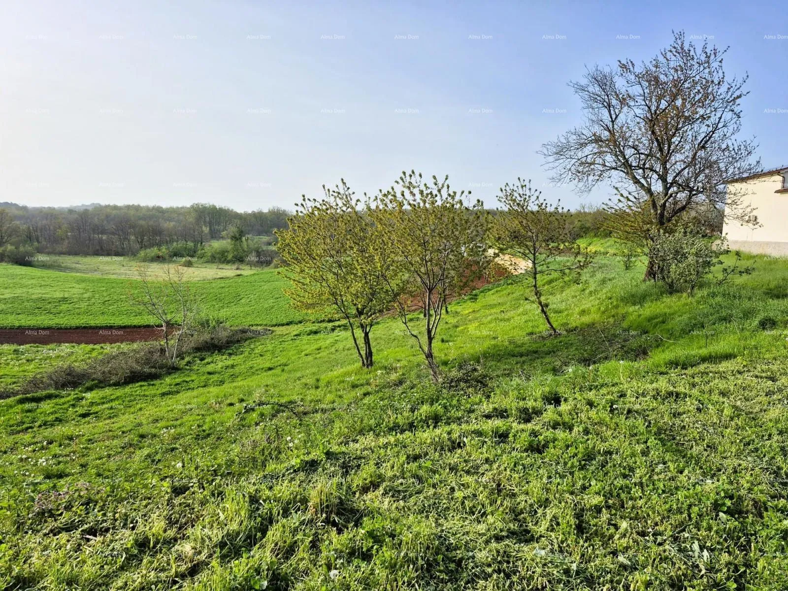 građevinsko zemljište građevinsko zemljište 1.730 m² – barban - slika 4