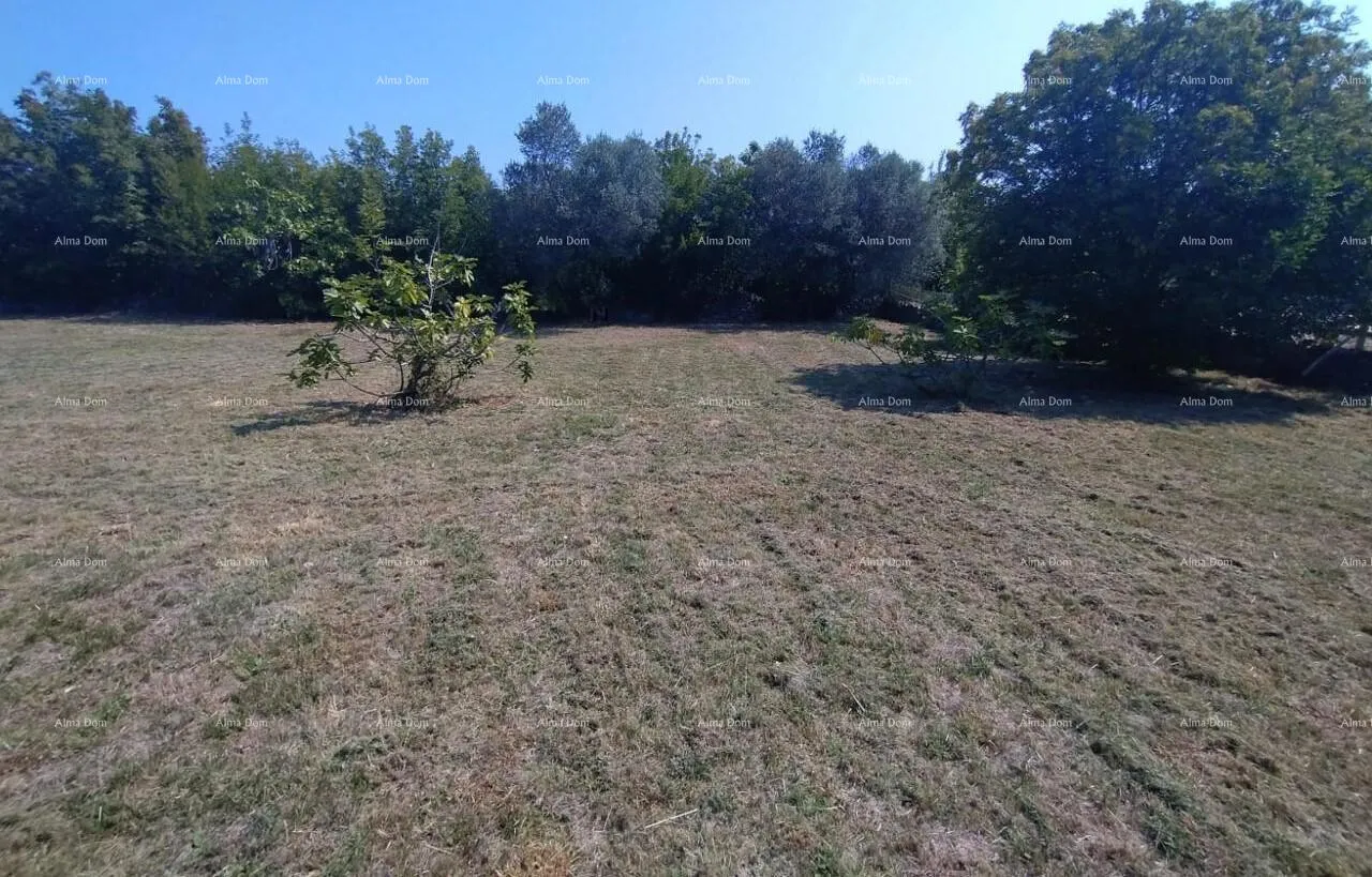 kuća rakalj, kamena kuća s 1.920 m² građevinskog zemljišta - slika 5