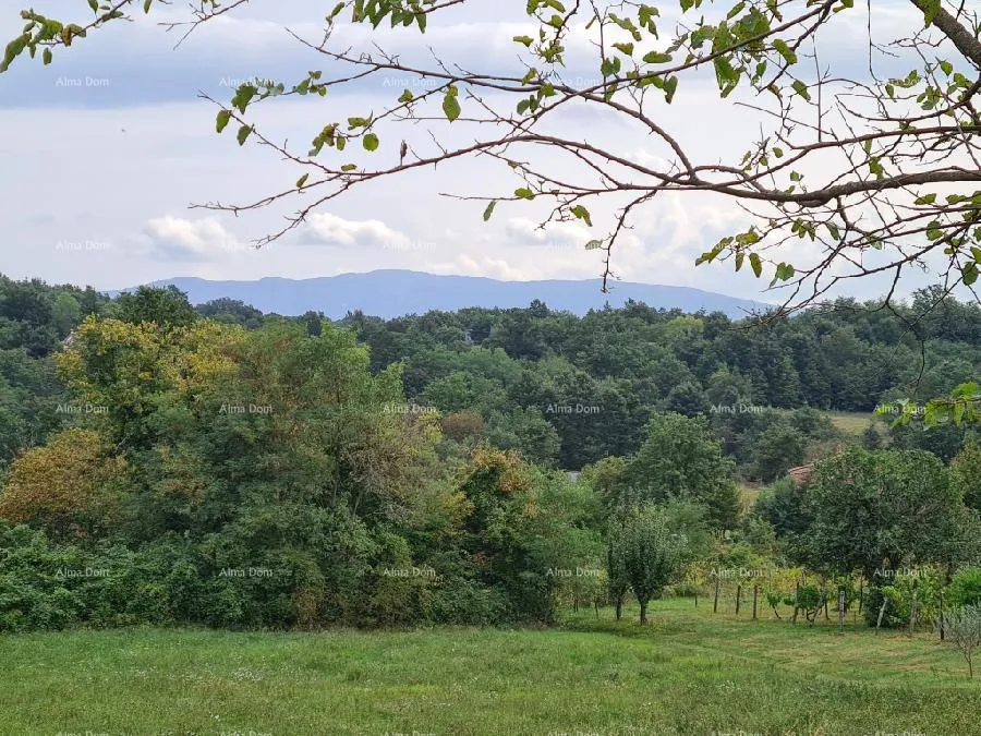 kuća stare ruševne kuće na velikom terenu od 6880 m2. - slika 3