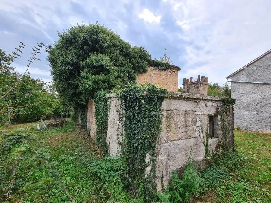 kuća stare ruševne kuće na velikom terenu od 6880 m2. - slika 12
