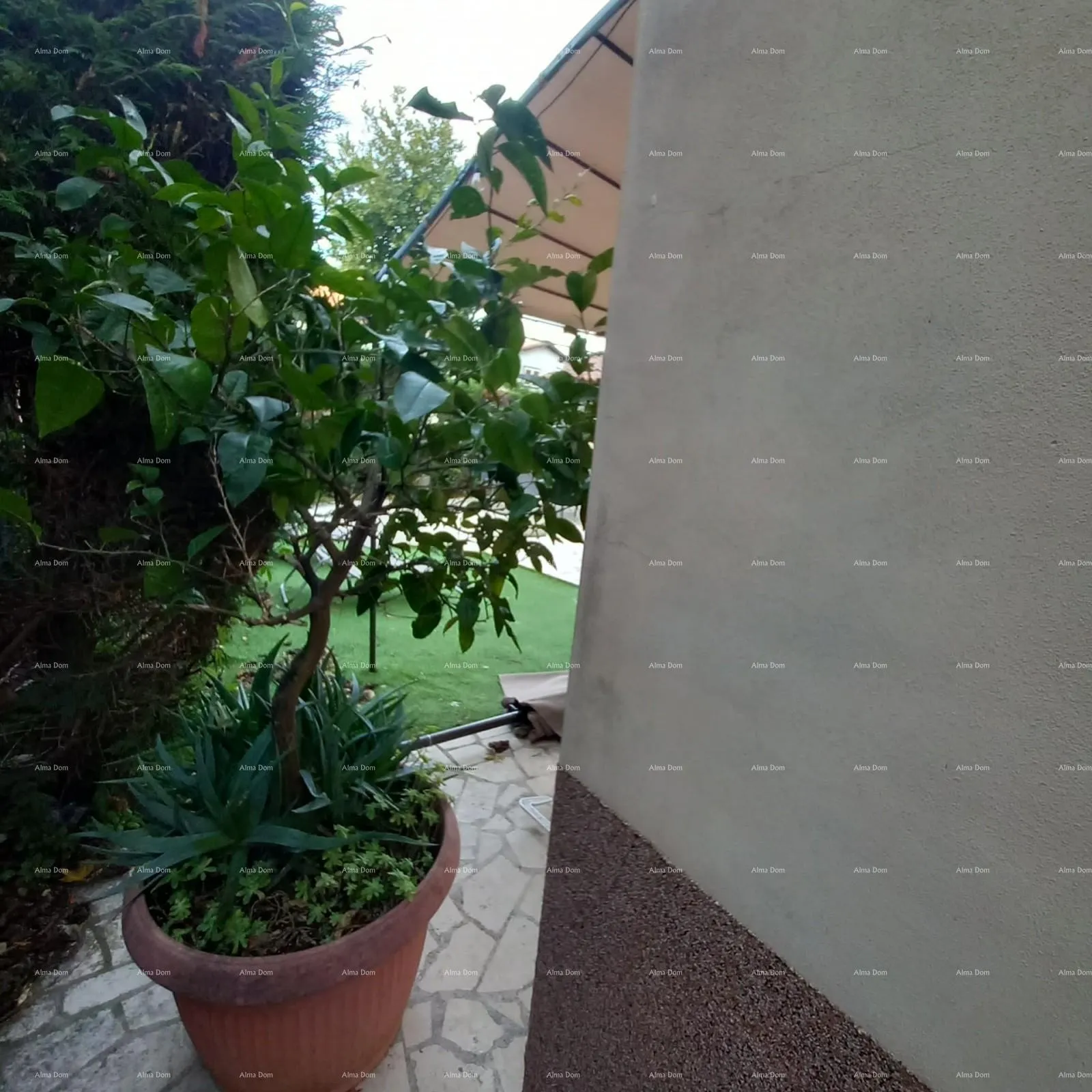 kuća prodaje se kuća sa 3 apartmana i dvorištem, blizu pule. pješčana uvala. - slika 3
