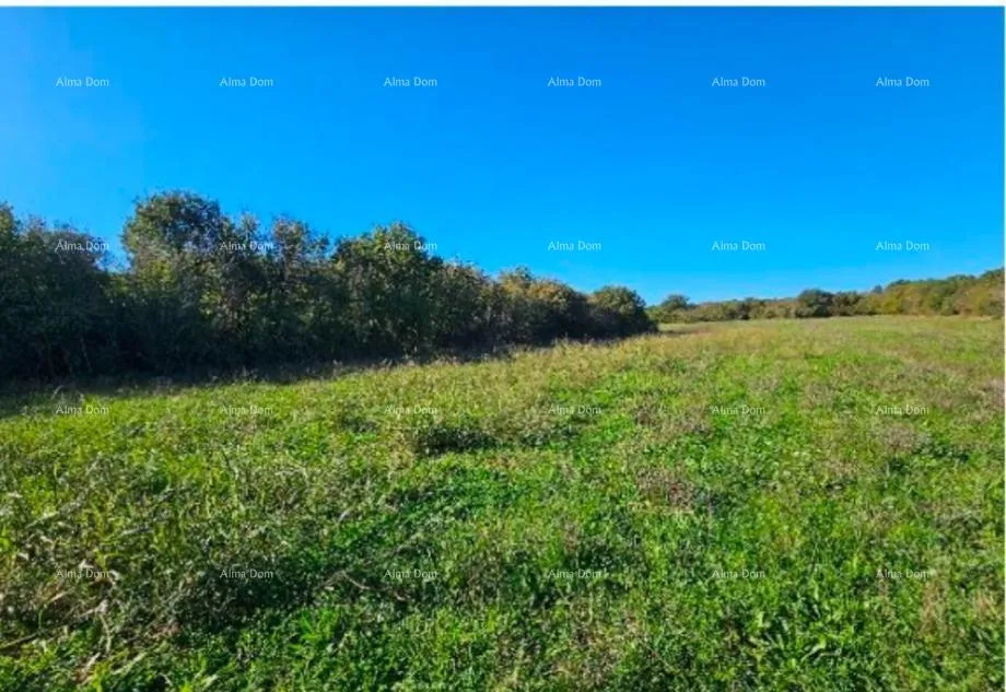 građevinsko zemljište prodaje se poljoprivredno zemljište, marčana - slika 3