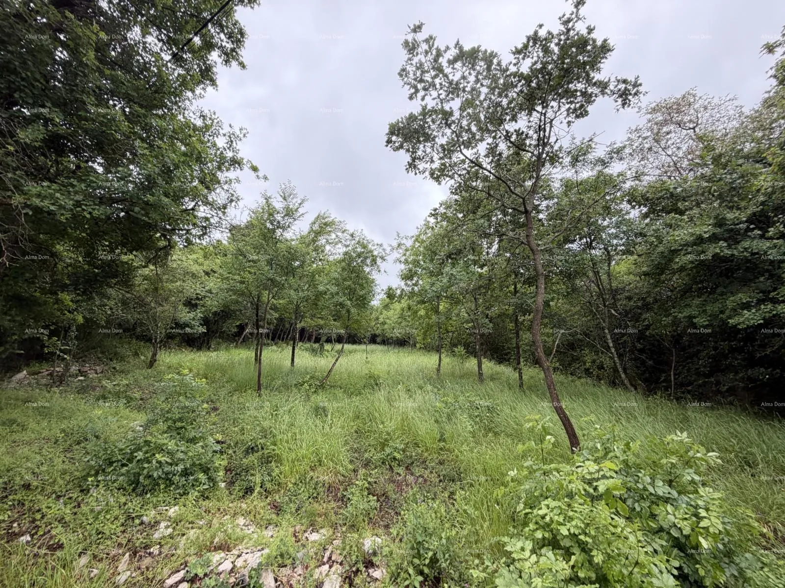 građevinsko zemljište buje – građevinsko zemljište 1.086 m² s pogledom na more - slika 7