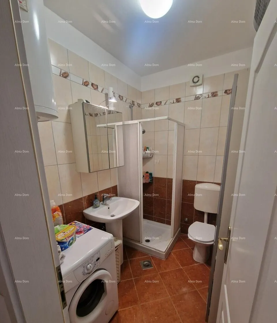 stan prodaje se lijepo renoviran stan, novigrad - slika 8