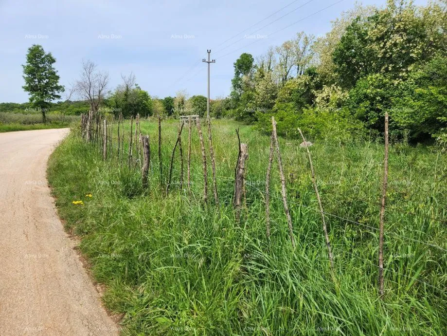 Građevinsko zemljište POREČ - Prodaje se građevinsko zemljište, 12000m2