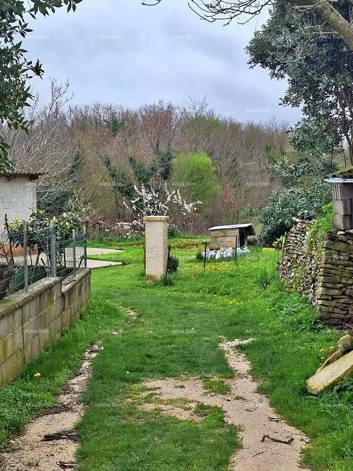 građevinsko zemljište prodaje se građevinsko i poljoprivredno zemljiste, blizu žminja - slika 2