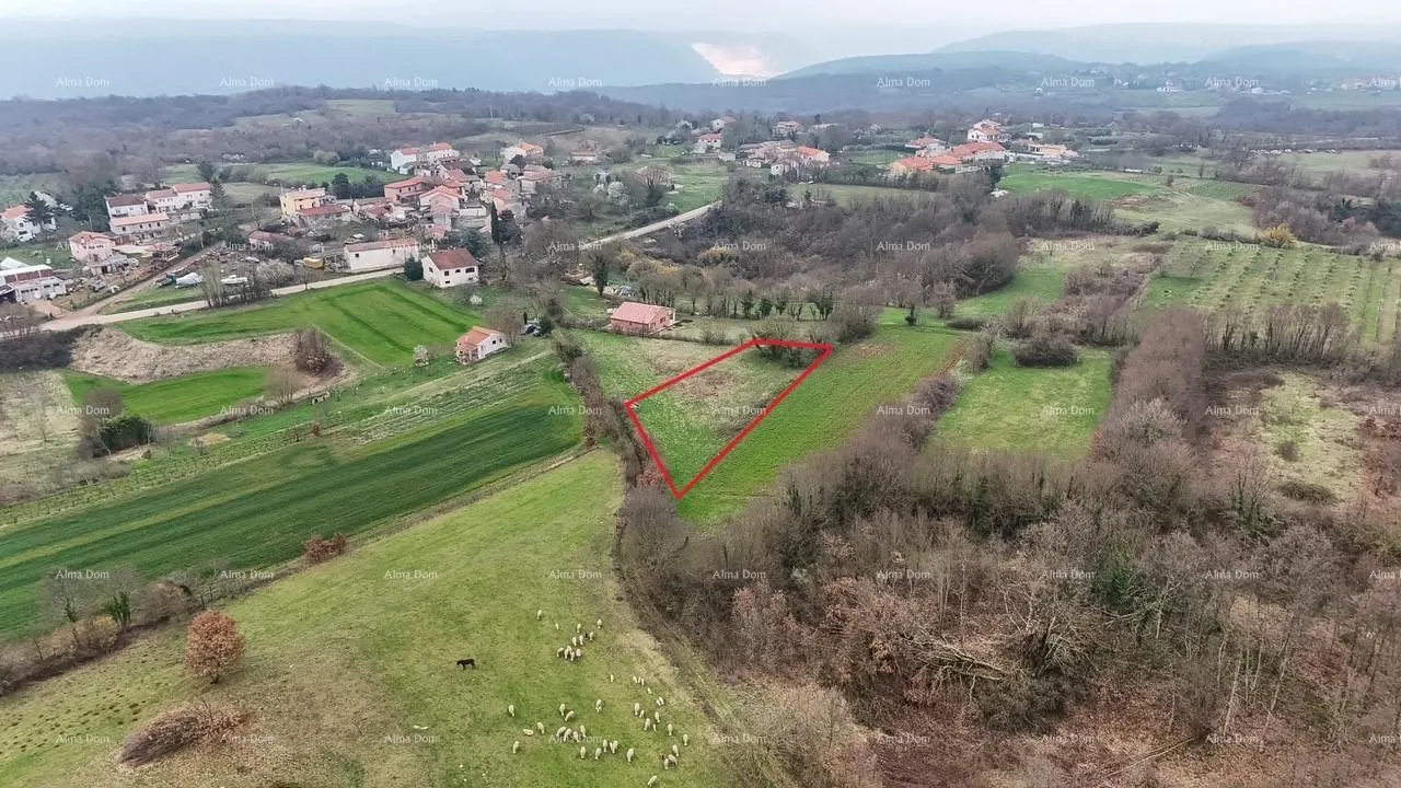 Građevinsko zemljište Građevinsko zemljište sa pravomoćnom dozvolom! - Barban