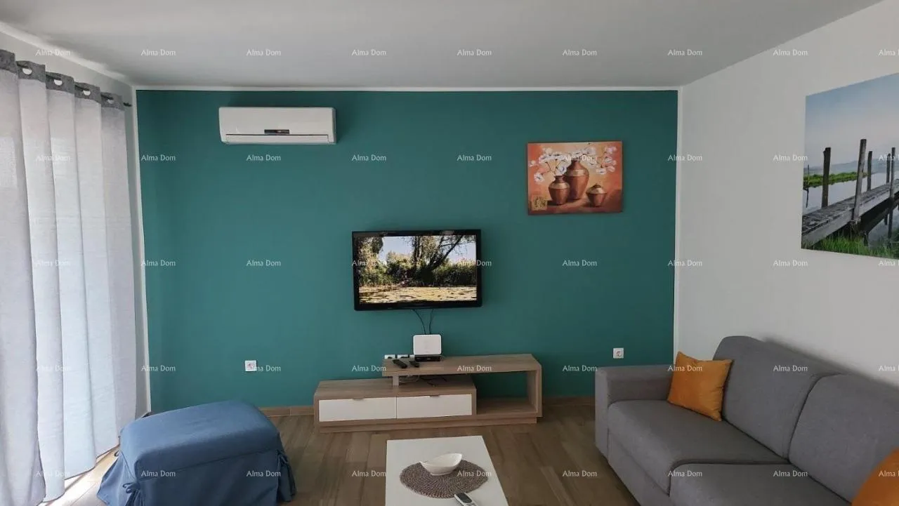 kuća raša – vila s privatnim bazenom i vrtom - slika 6