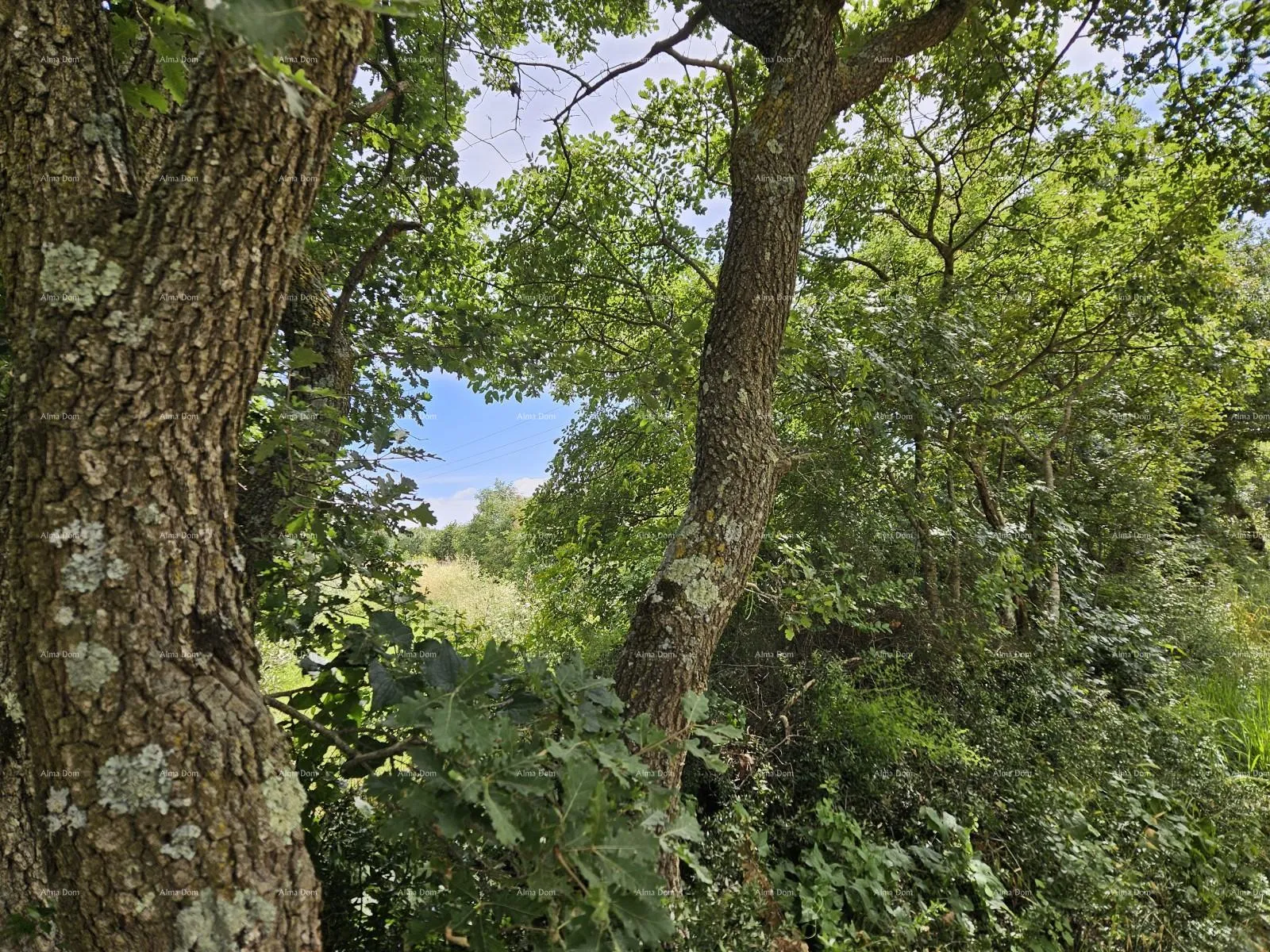 građevinsko zemljište prodaje se građevinsko zemljište, 1712m2, marčana! - slika 4