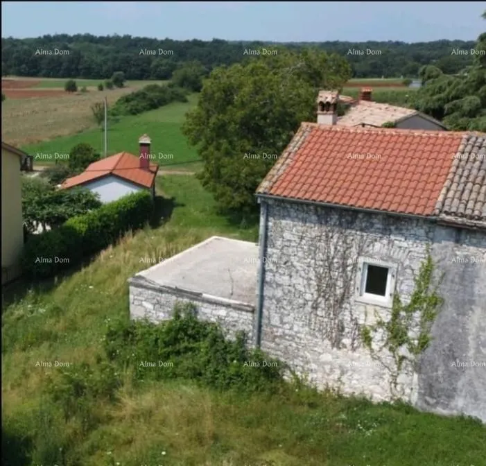 kuća prodaje se stara kamena kuca s zemljistem barban idealno za kucu za odmor - slika 14