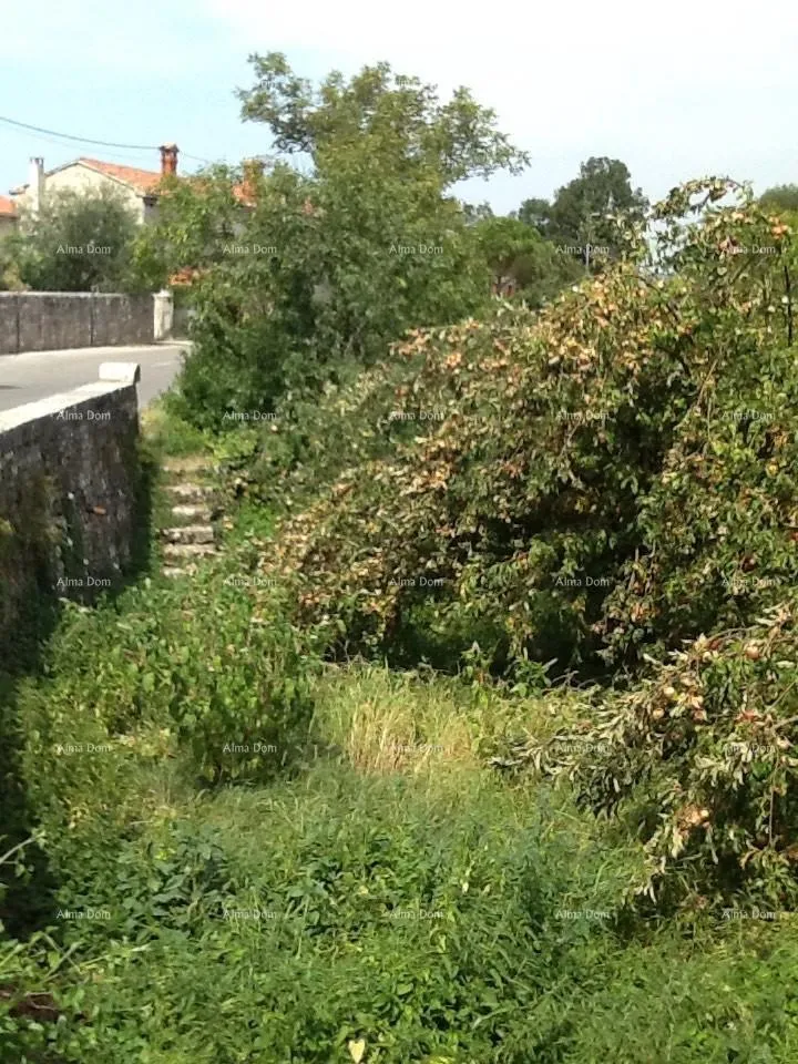 kuća sveti petar u šumi, kuća i zemljište - slika 3