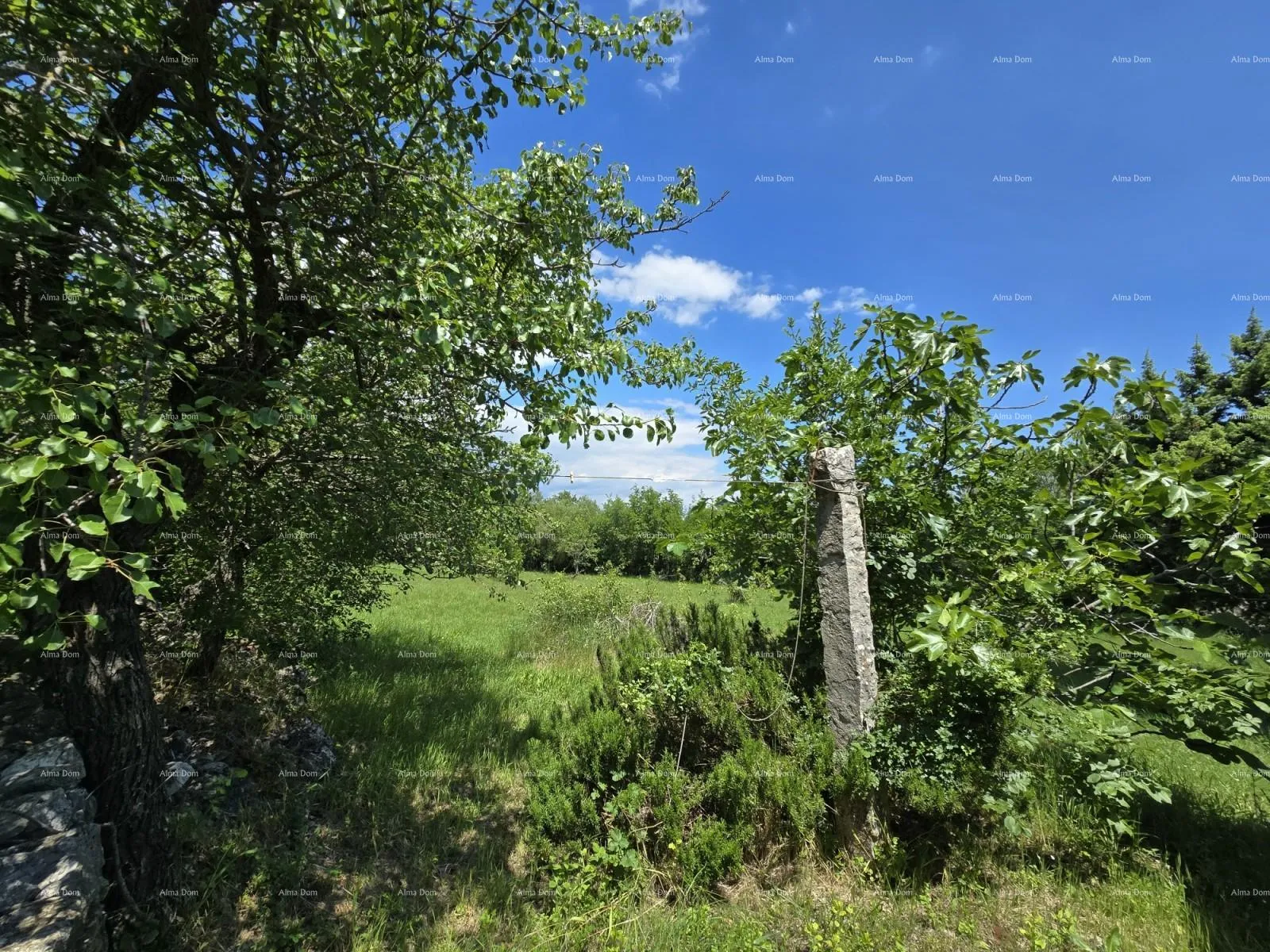 kuća rakalj, kamena kuća s 1.920 m² građevinskog zemljišta - slika 14