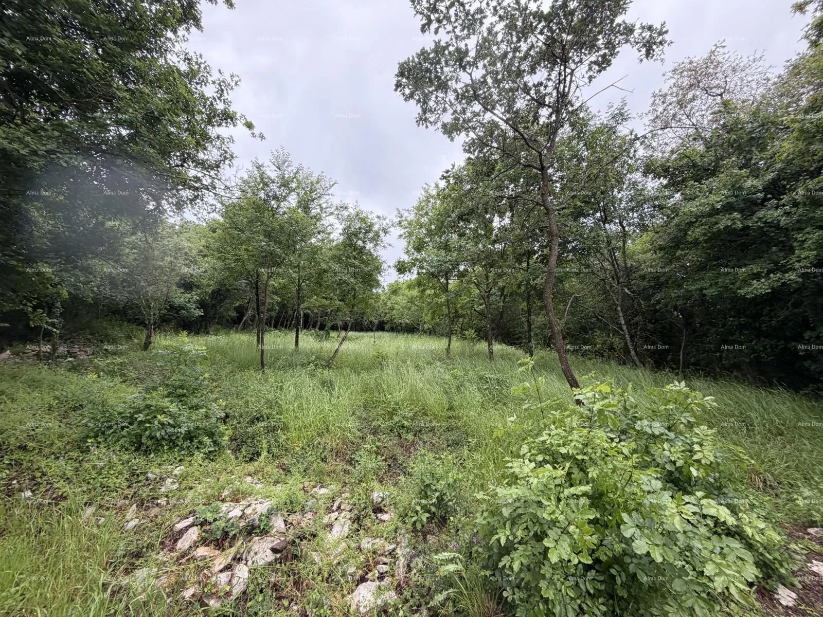 građevinsko zemljište buje – građevinsko zemljište 1.086 m² s pogledom na more - slika 5