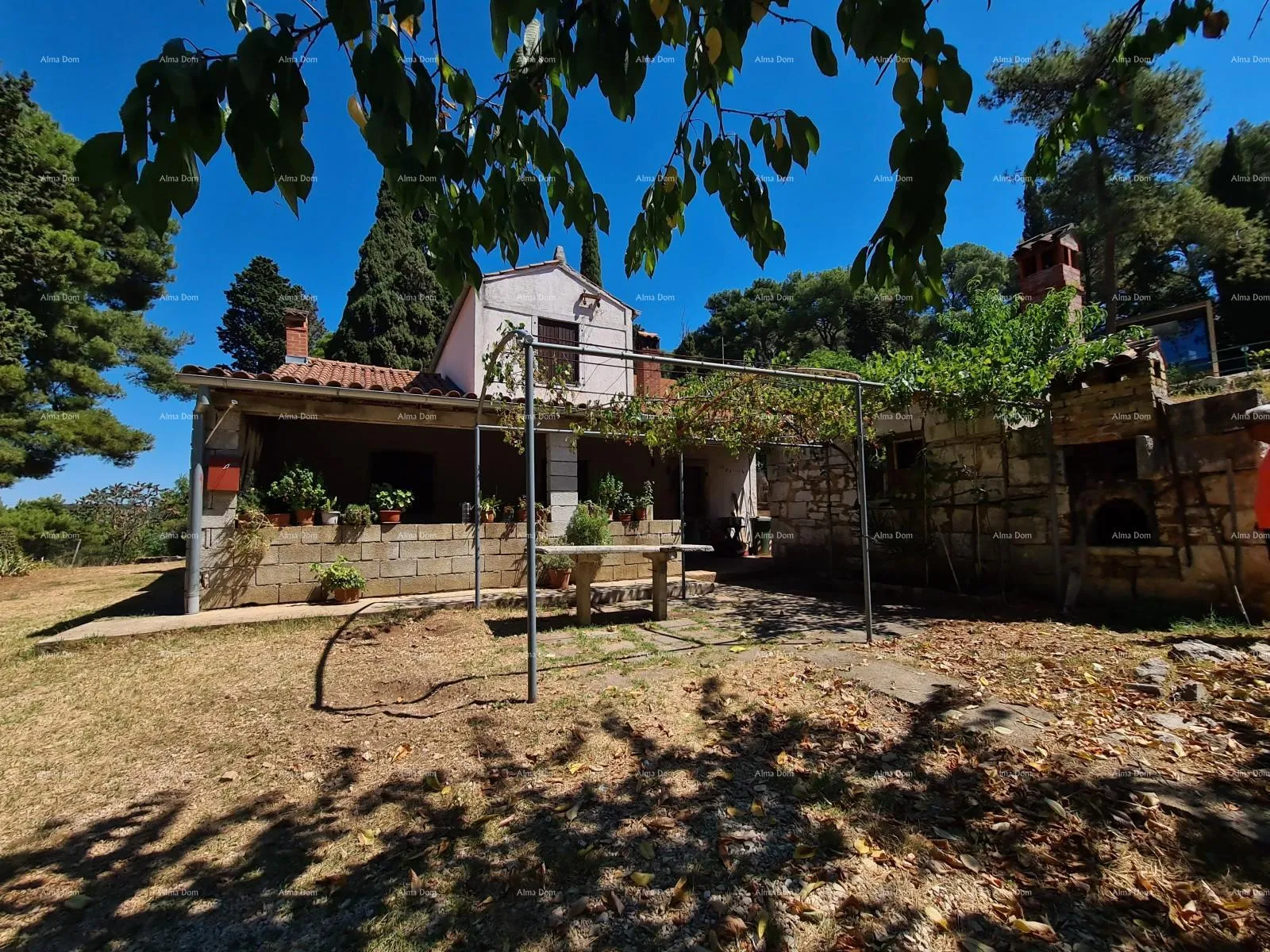 kuća kuća za adaptaciju sa velikom parcelom! rovinj porton biondi. - slika 2