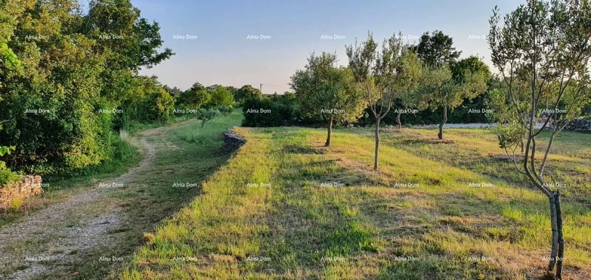 građevinsko zemljište marčana filipana - građevinski teren - slika 3