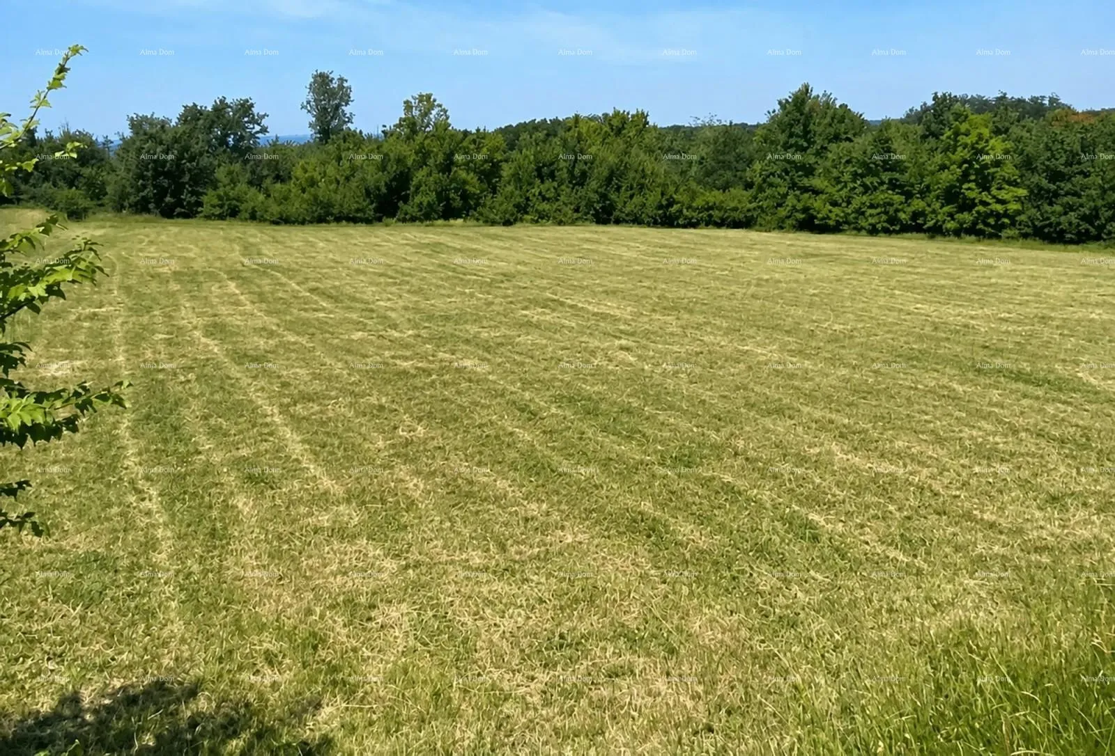 građevinsko zemljište tar, prodaje se građevinsko zemljište površine 1.539 m² - slika 2