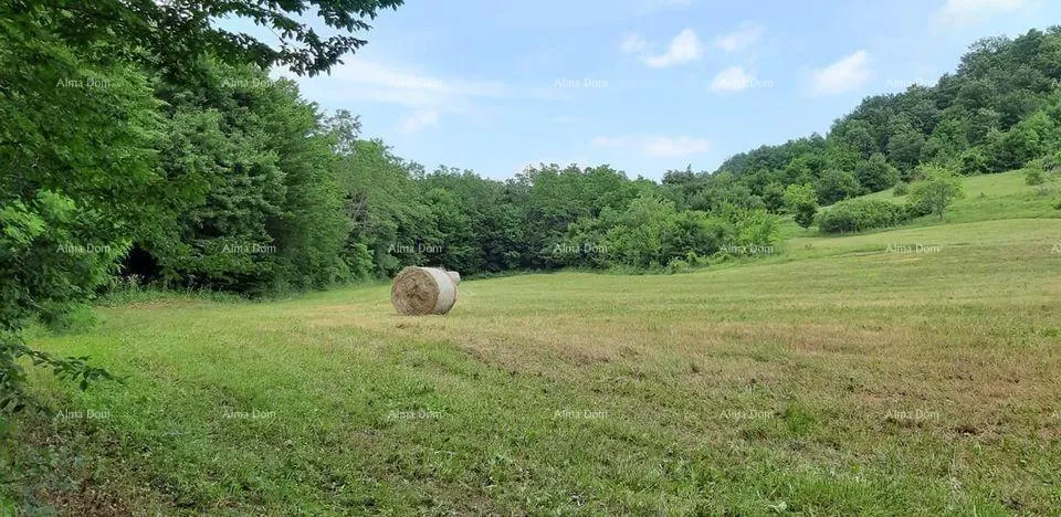 kuća prodaja- veliko imanje/stancija u središnjoj istri, pazin! investicijska prilika! - slika 3