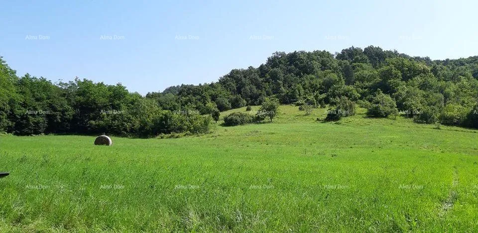 kuća prodaja- veliko imanje/stancija u središnjoj istri, pazin! investicijska prilika! - slika 5
