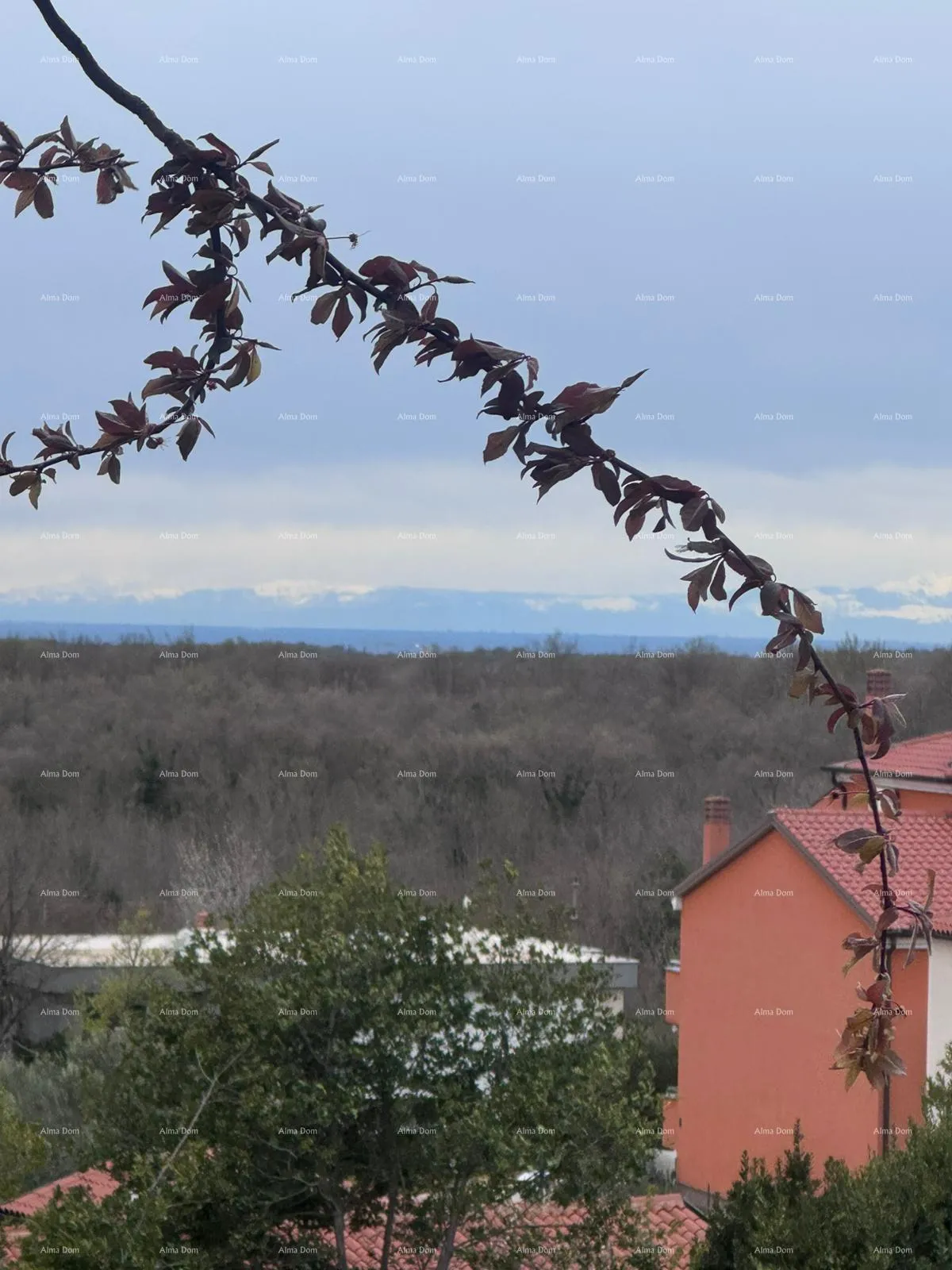 Građevinsko zemljište Građevinsko zemljište 3.800 m² s pogledom na more - Brtonigla