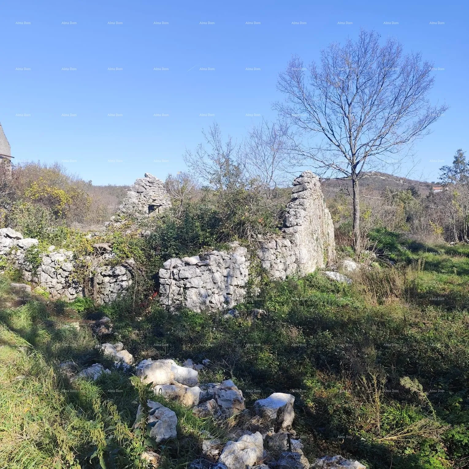 kuća istarska kamena kuća, sv.lovreč labinski, okolica labina - slika 9