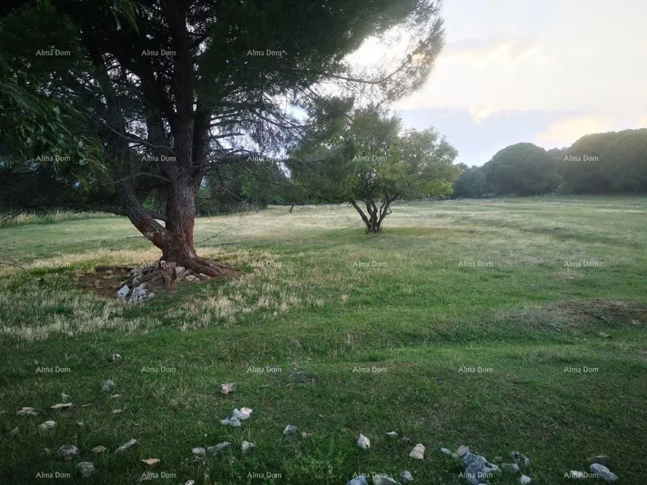 građevinsko zemljište sveti martin, građevinsko zemljište 1.031 m² s građevinskom dozvolom - slika 6