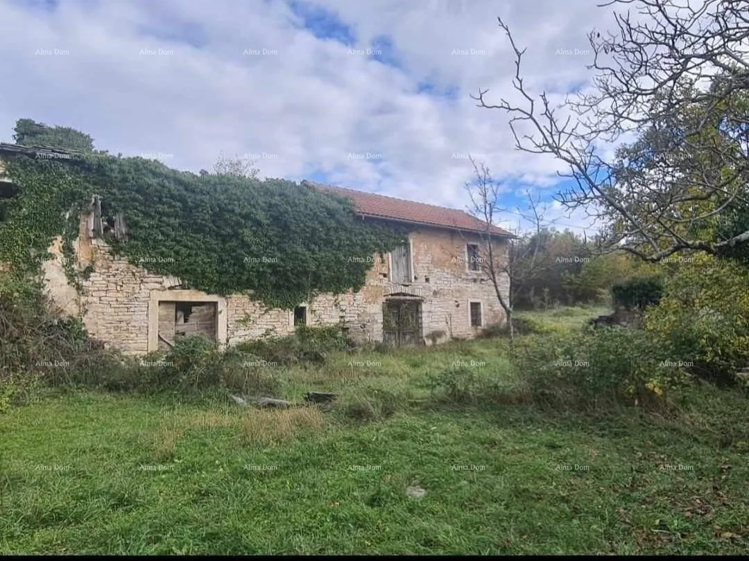 kuća prodaja istarske kamene kuće za kompletnu renovaciju na velikoj parceli od 4500 m2. oprtalj - slika 7
