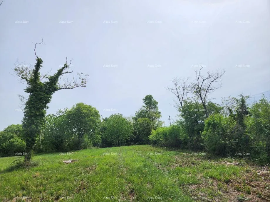 građevinsko zemljište poreč - prodaje se građevinsko zemljište, 12000m2 - slika 9