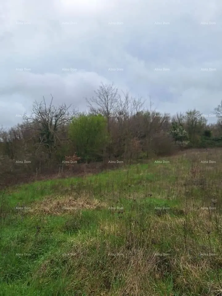 građevinsko zemljište prodaje se građevinsko i poljoprivredno zemljiste, blizu žminja - slika 3