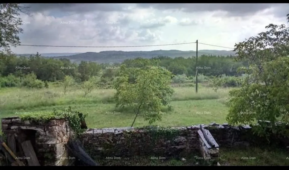 kuća prodaja istarske kamene kuće za kompletnu renovaciju na velikoj parceli od 4500 m2. oprtalj - slika 3