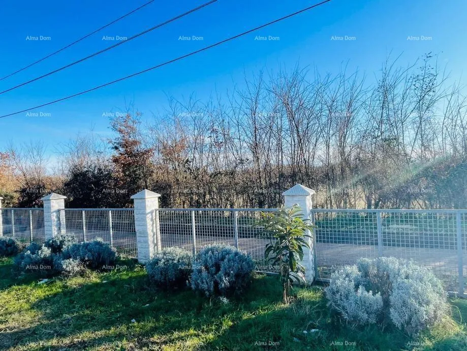 kuća marčana! loborika - kuća s maslinikom. - slika 17