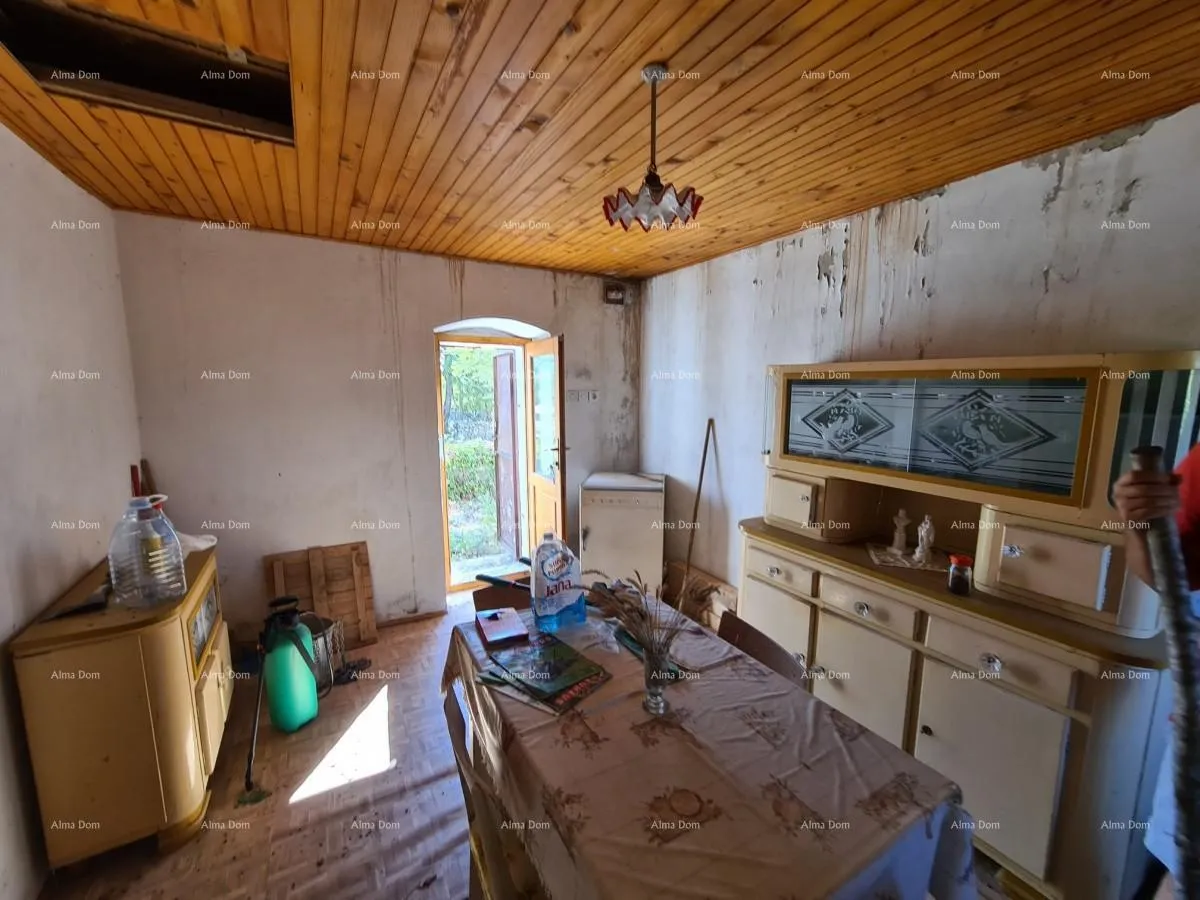 kuća stancija kod vodnjana! veliki teren 6390 m2!! - slika 13