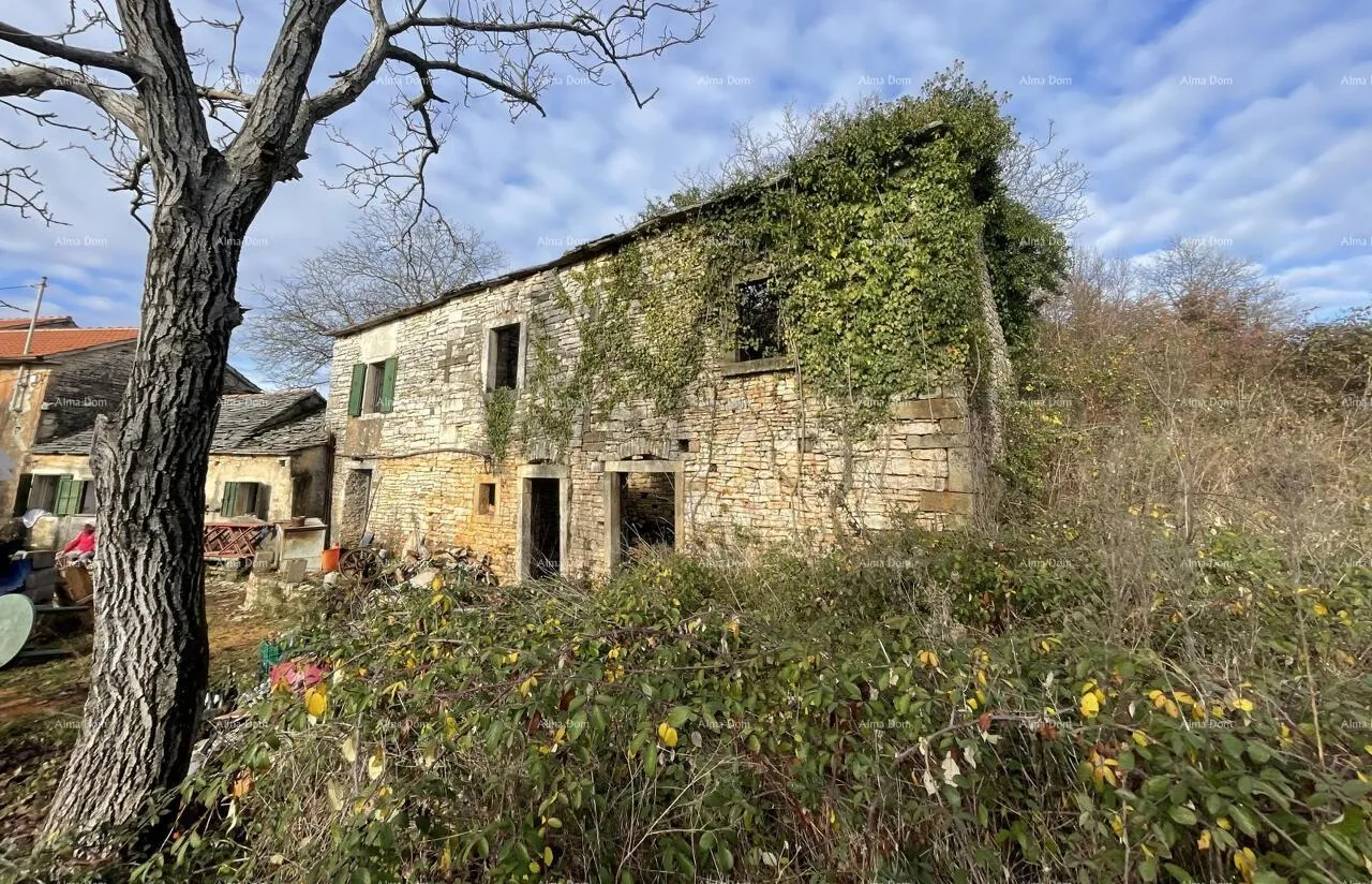 kamena kuća prodaja - kamena istraska kuća za renovaciju s velikim zemljištem, oprtalj! - slika 5