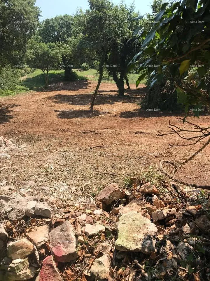 Građevinsko zemljište Građevinsko zemljište 1.137 m² – Filipana - Marčana