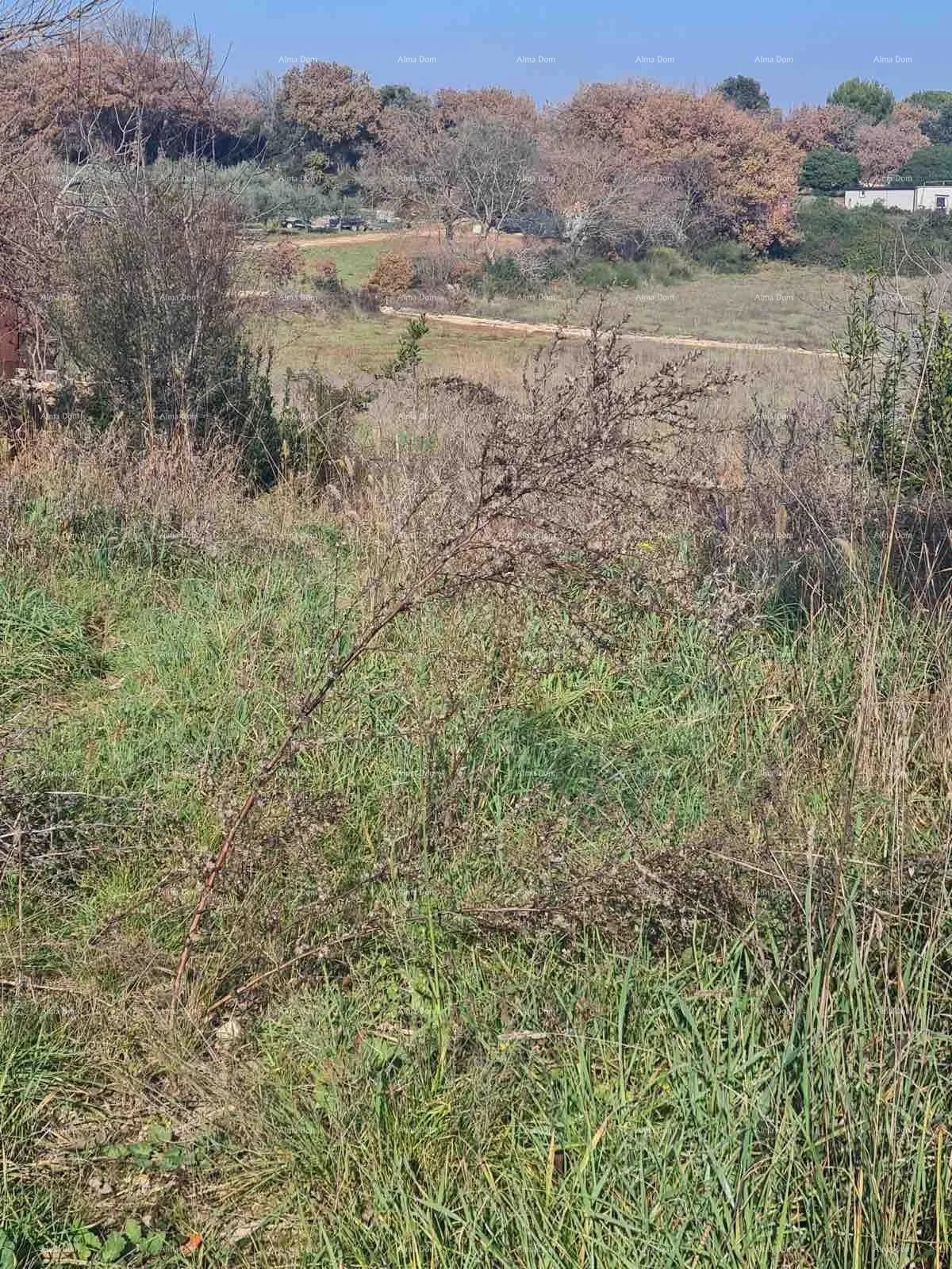 građevinsko zemljište građevinsko zemljište vintijan – 800 m2 – uz cestu - slika 7