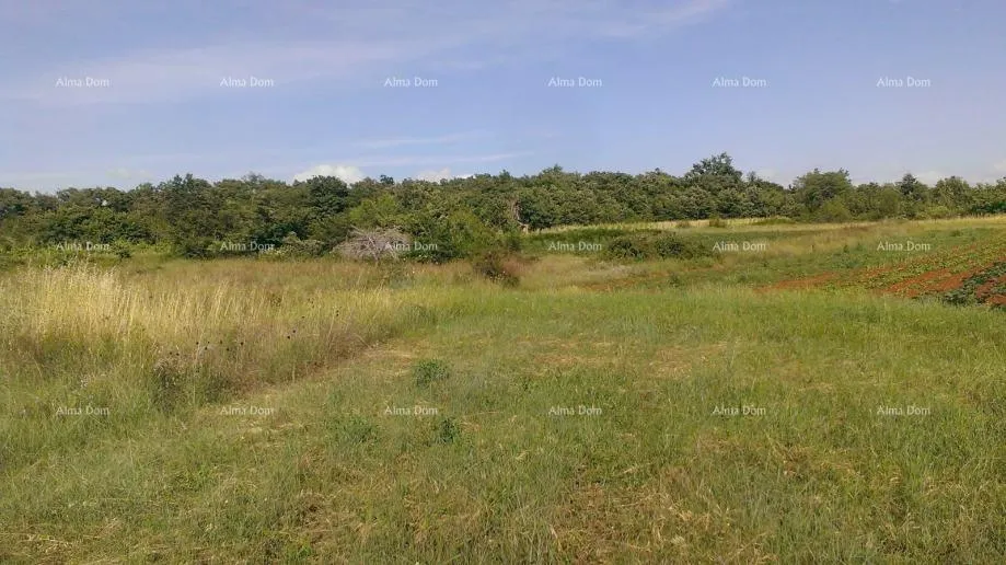 Građevinsko zemljište Građevinsko zemljište 2.539 m² – Smoljanci, Svetvinčenat