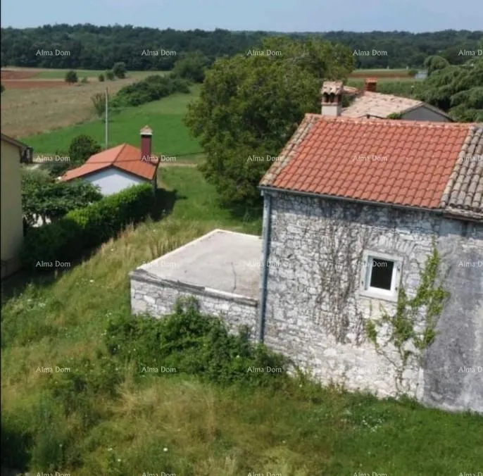 kuća prodaje se stara kamena kuca s zemljistem barban idealno za kucu za odmor - slika 6