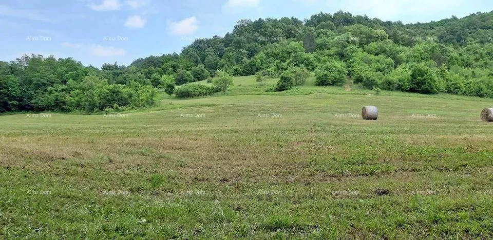 kuća prodaja- veliko imanje/stancija u središnjoj istri, pazin! investicijska prilika! - slika 2
