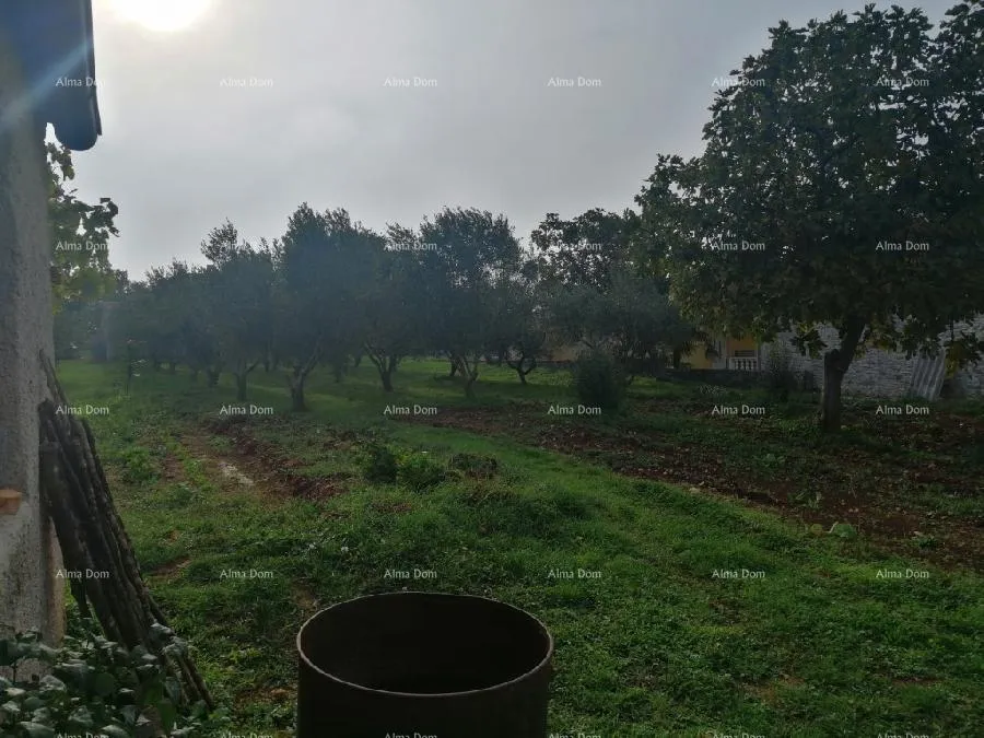 građevinsko zemljište građevinski teren sa 3 manja legalizirana objekta. vareški. - slika 14