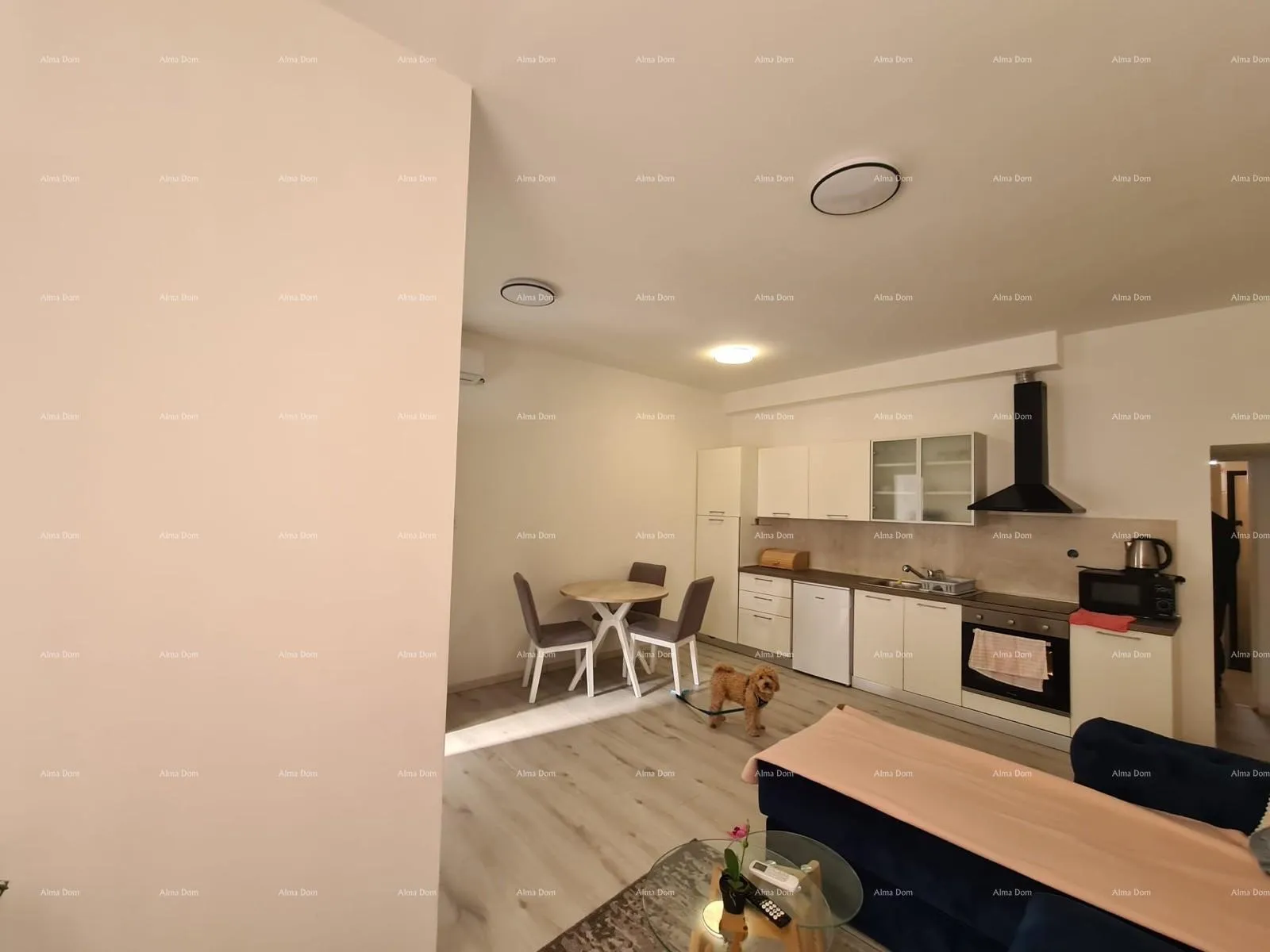 stan prodaje se nekretnina s dva apartmana – pula - slika 12