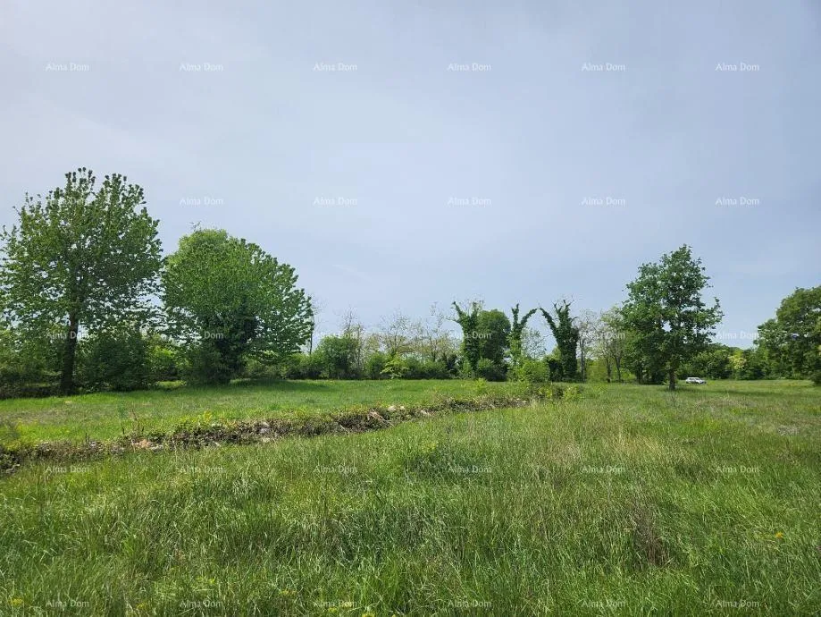 građevinsko zemljište poreč - prodaje se građevinsko zemljište, 12000m2 - slika 4