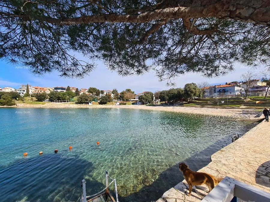 kuća prvi red do mora i plaže – kuća s bazenom i velikom okućnicom, pješčana uvala! - slika 3