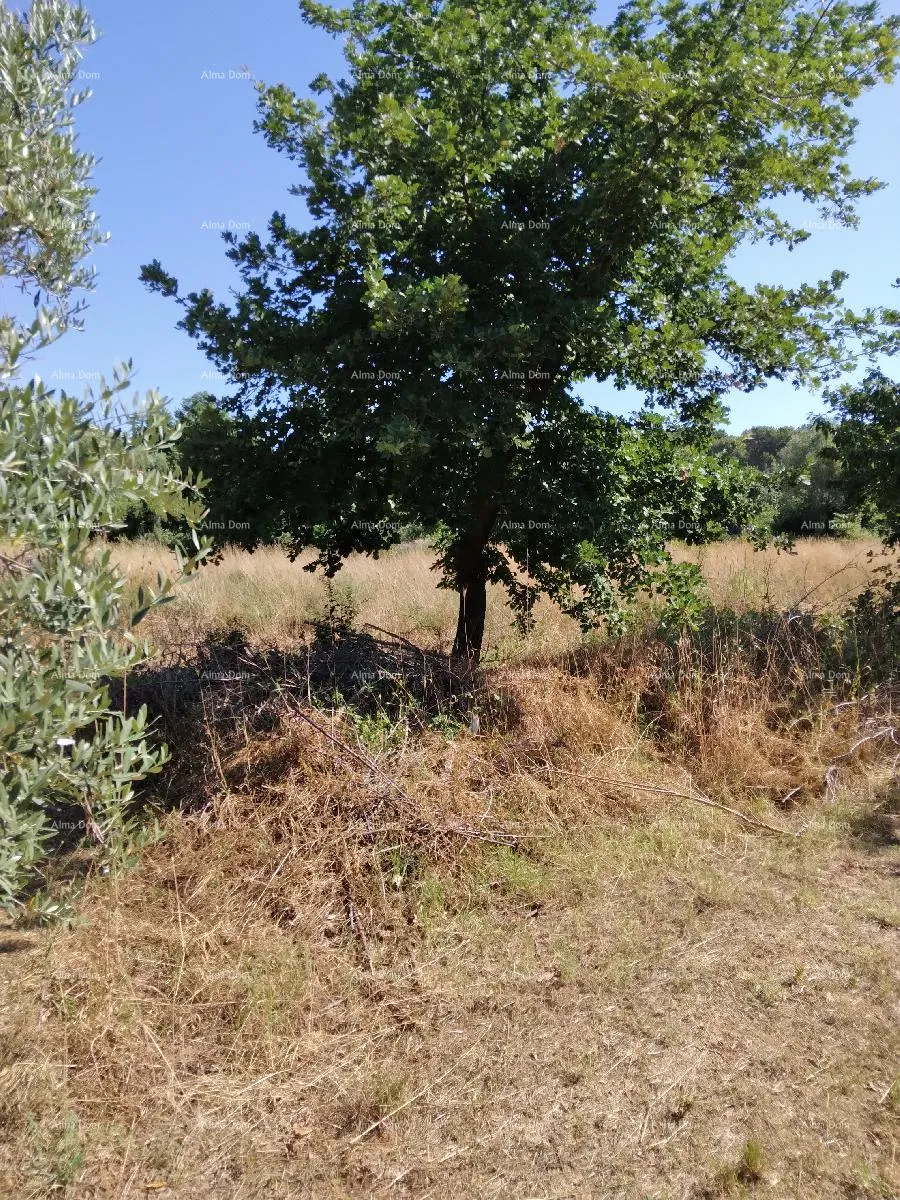 građevinsko zemljište pula busoler građevinsko - poljoprivredni teren. - slika 2
