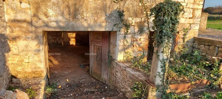 kuća galižana –kamena kuće s građevinskim zemljištem i šternom - slika 4