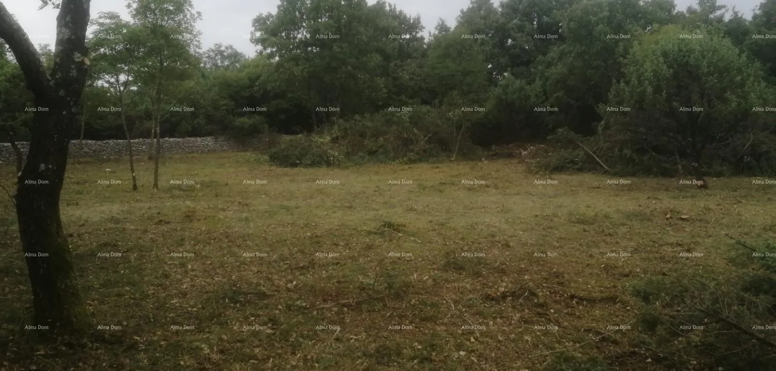građevinsko zemljište građevinsko i poljoprivredno zemljište u blizini svetvinčenata: 11100 m² za vašu investiciju - slika 4