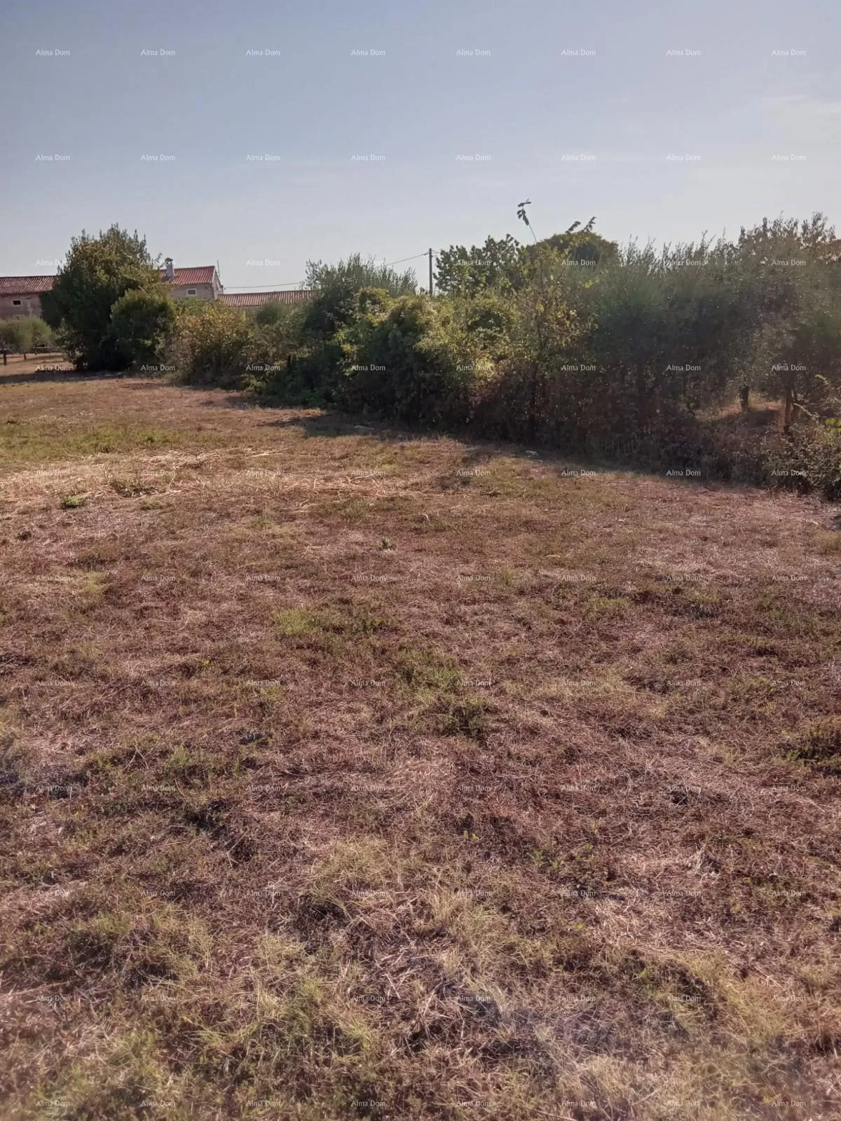 građevinsko zemljište prodaja građevinskog zemljišta u okolici marčane! - slika 4